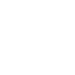 ceo-outline-icon
