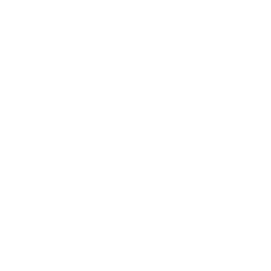 holistic-approach-outline
